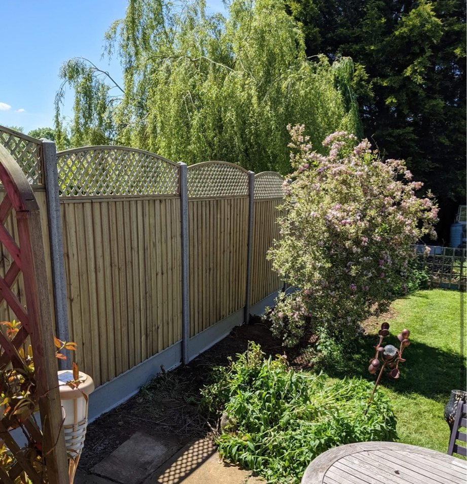 Closeboard fence with lattice trellis top